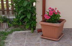 Fyllenia Country Home, Aridaia, Pozar Baths - Foto 42
