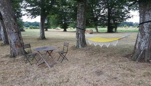 Logement dans château - Foto 4