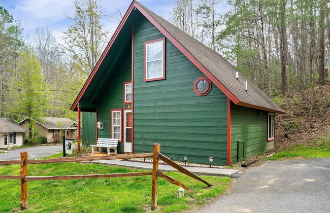 Bearly Gnomey - Foto 1