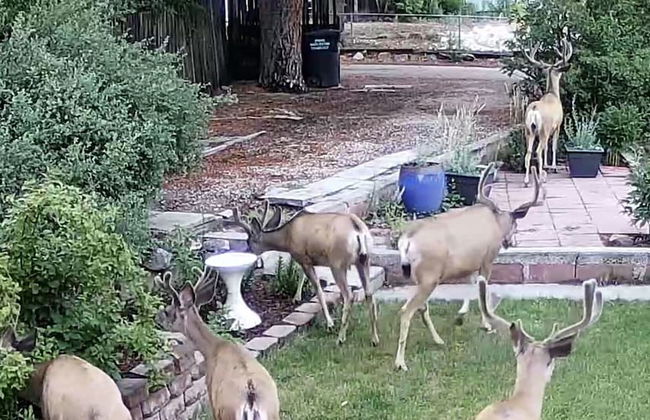 3bdmid-century Modernhot Tub, Grill, Close to DT - Foto 32