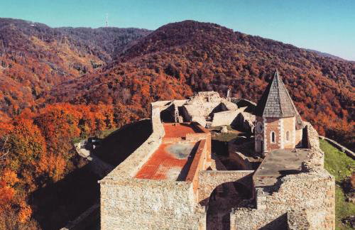 Olive Tree City Apartment - Foto 24