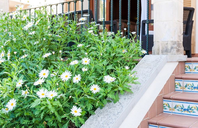 Can Barret in Can Picafort - Foto 20