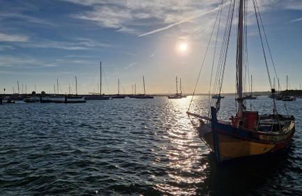 PoolHouse EstrelasDourada ALVOR - Foto 45