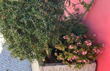 Casa do Lagar - Villa com piscina - Foto 4