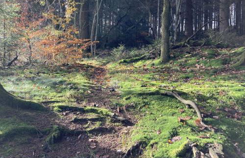 Holiday Home Exklusives Ferienhaus mit Terrasse und Garten by Interhome - Foto 48