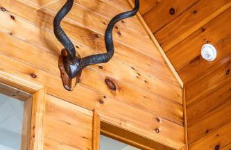 Lazy River Cabin: Lakefront Stay - Foto 19