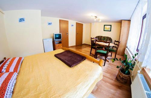 Agroturystyka Wzgórze Magnolii - Foto 36