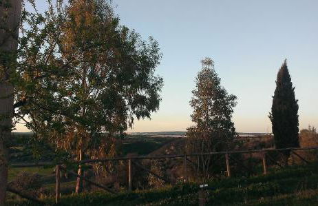 Masseria Strada Agriturismo - Foto 12