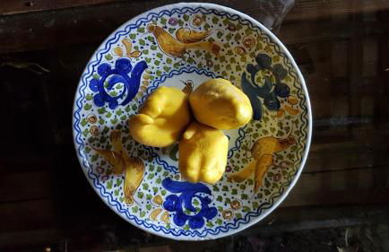 Mas Tulsà Casa Rural Girona - Foto 82