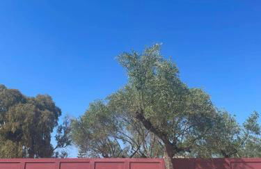 Nissi Collection Rooms - Foto 58