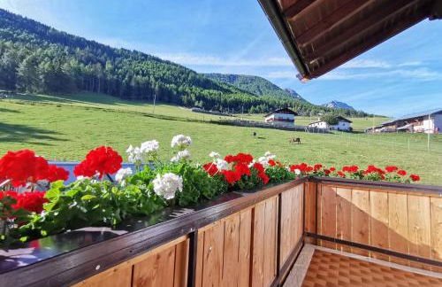 Bio-Bauernhof Mairinghof-Paris - Foto 6