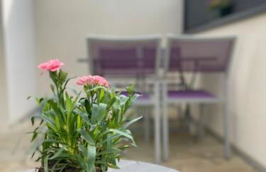 Plein centre Auray - Grand duplex 2 suites avec terrasse ensoleillée - Foto 16