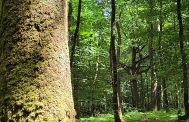 Le Refuge de la Doucette - Foto 20