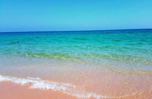 Apartamento 157, Pedras d’el Rei - Foto 54