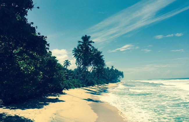 SATIN DOLL - Foto 42