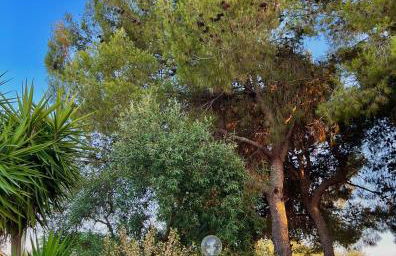 Villa Rita - Foto 17