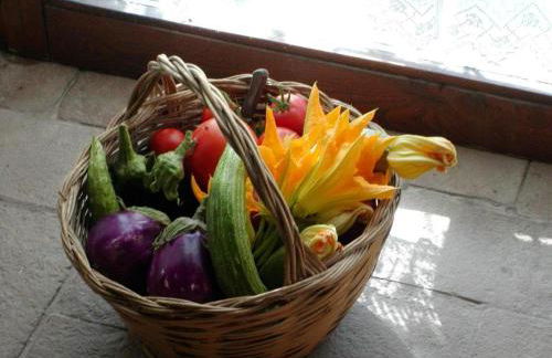 Marco & Andrea Agriturismo Collepina - Foto 21