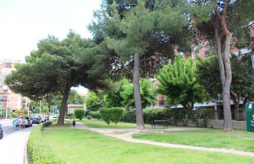 Chelu & Luna - Foto 56