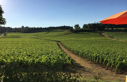 La Maison du Clos du Roi - Foto 57