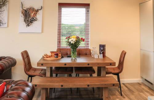 Pine Marten - Foto 9