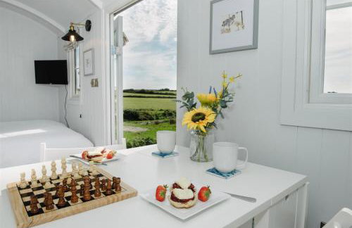 Shepherds Hut at Chenhall Farm - Photo 42