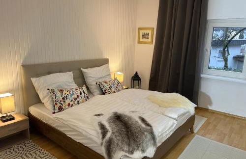 Casa Estrella - Photo 4