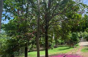 Rancho Fundo - Foto 22