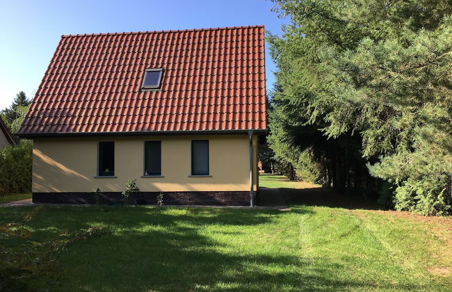 Ferienhaus Mirow-Lärz - Kamin Wald Ruhe - Foto 49