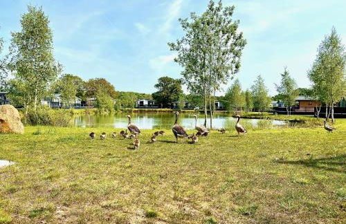 Ella Lodge - Foto 46