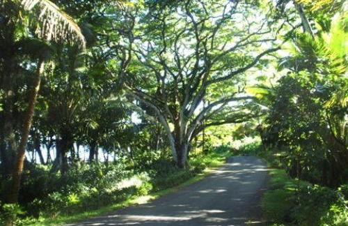 Hale Mapuana - Foto 24