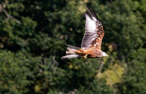 3 Bed in Aberystwyth oc-76692 - Foto 27