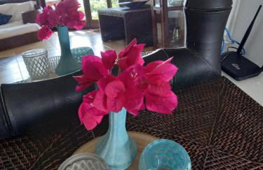 Luxury Suites Vila Indonésia - Foto 74