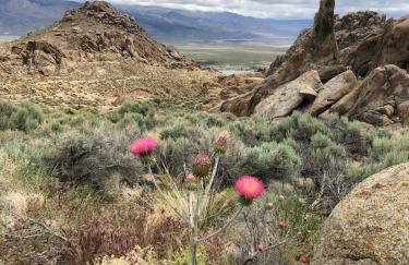 Magical property in the Alabama Hills - HOT TUB - Foto 46