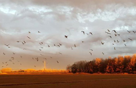 La Casa delle Magnolie - Foto 22