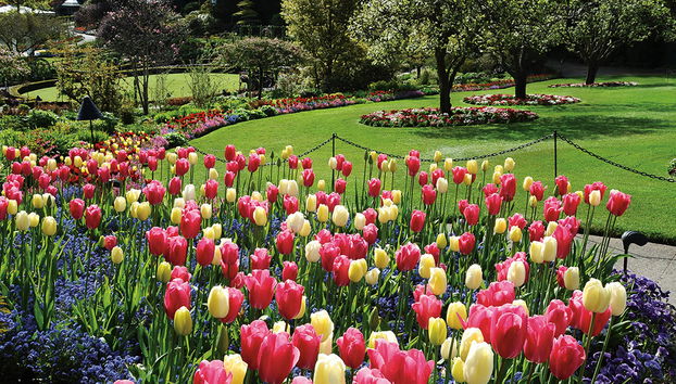 Jardines de Victoria y Butchart - Foto 3