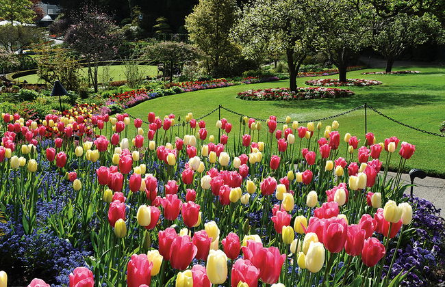 Jardines de Victoria y Butchart - Foto 3