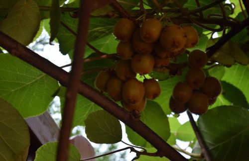 Nichtraucherferienwohnung-Neckarblick ZE-2022-74-WZ-118A - Foto 26