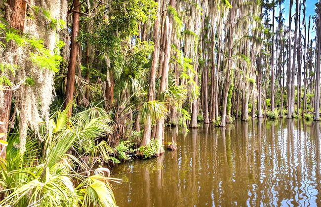 7 Room Saddlebrook Golf SPA Villa 5BR 4BA - Photo 34