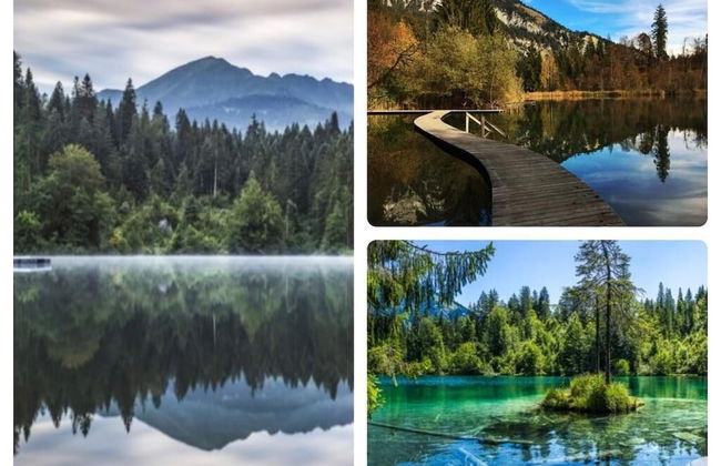 Renovated 3 Rooms Apartment in Ruschein Near Laax - Foto 36