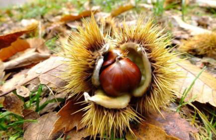 Tuttifrutti holiday - Foto 58