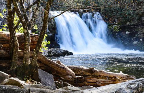 Cedar Lodge by Jackson Mountain Rentals - Foto 18