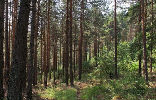 Apartment Belvedere 43 - Photo 24