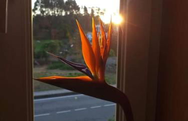 Casa Jose y María - Foto 26