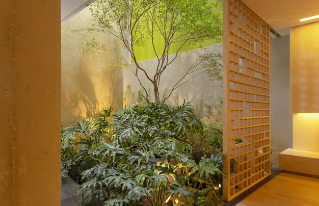 V65 Mexico - Foto 69