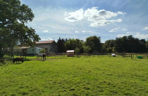 Maisonnette Familiale proche du PUYDUFOU - Photo 13