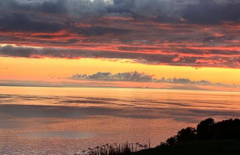 Paradise Suites The Wolf Den - Foto 28