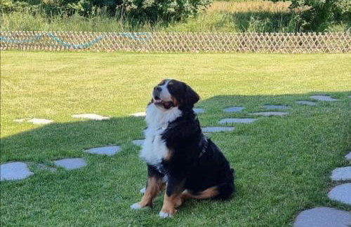 Two-level apartment with a large terrace - Foto 29