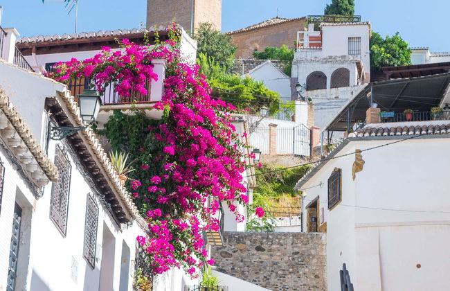 Tour por Granada, el Albaicín y el Sacromonte - Photo 1