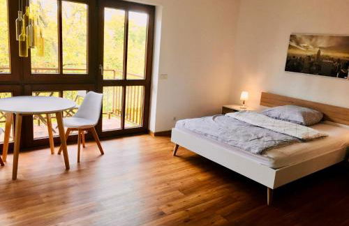 Modernes Studio im Herzen von Neustadt: PfalzLiebe - Foto 1