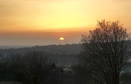 Rosenhof Broggingen - Foto 15
